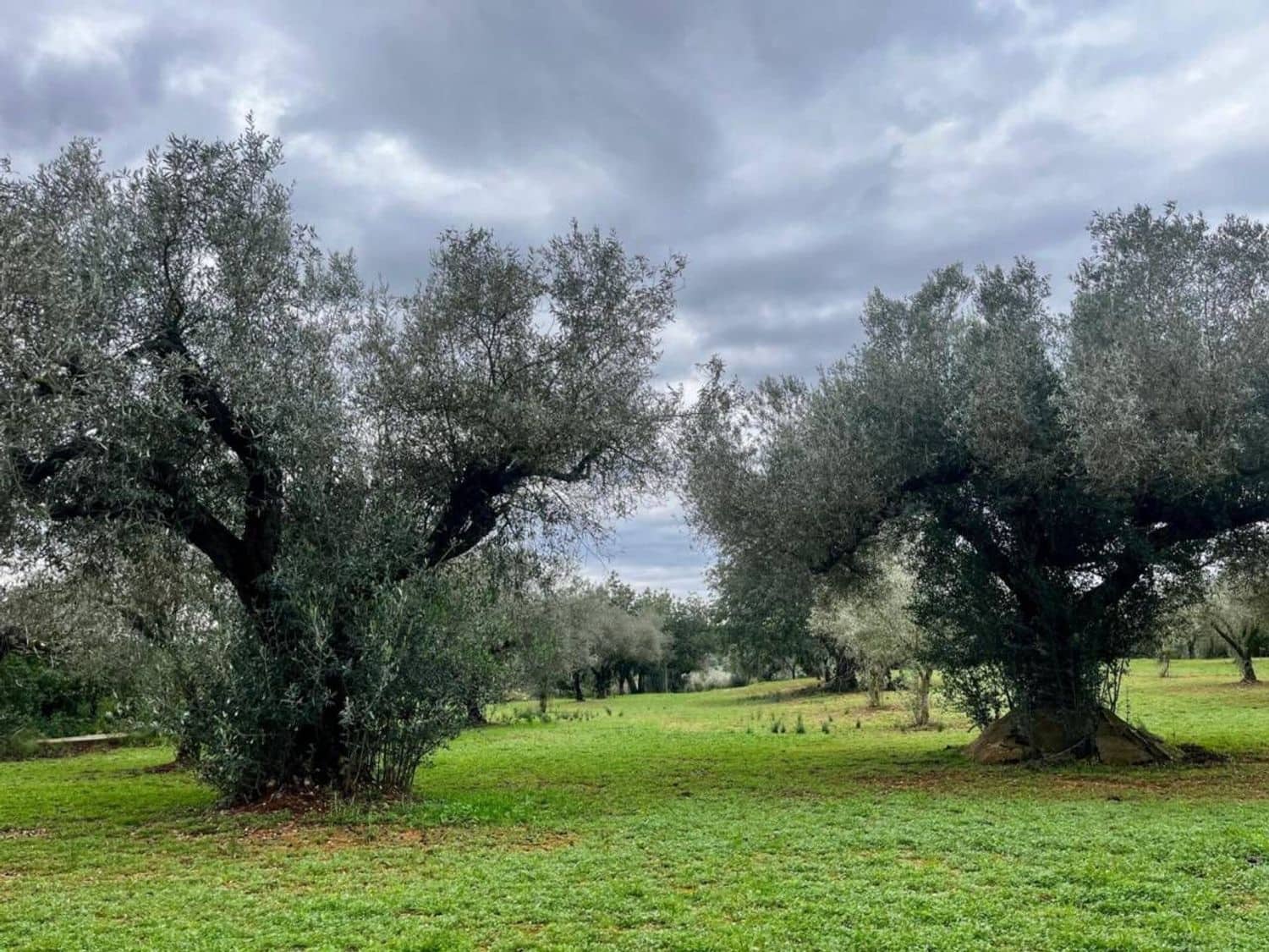 1 slaapkamer Finca/Landhuis te koop in Cervera del Maestre / Cervera del Maestrat - € 74.000 (Ref: 7588708)