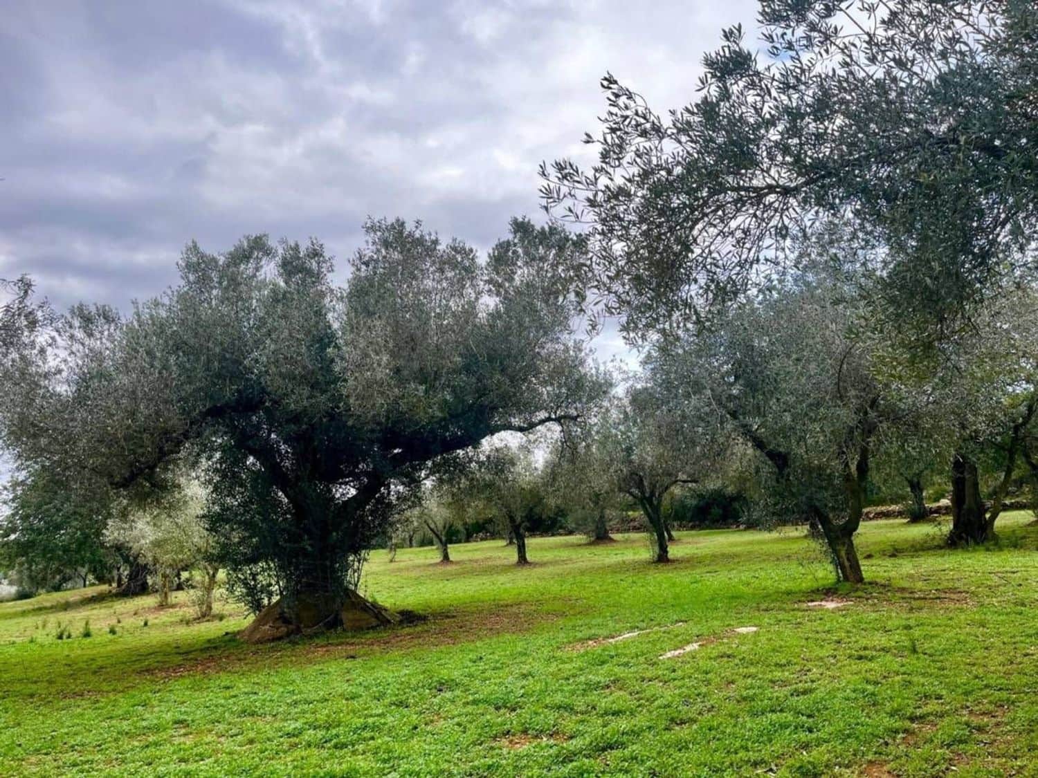 1 slaapkamer Finca/Landhuis te koop in Cervera del Maestre / Cervera del Maestrat - € 74.000 (Ref: 7588708)