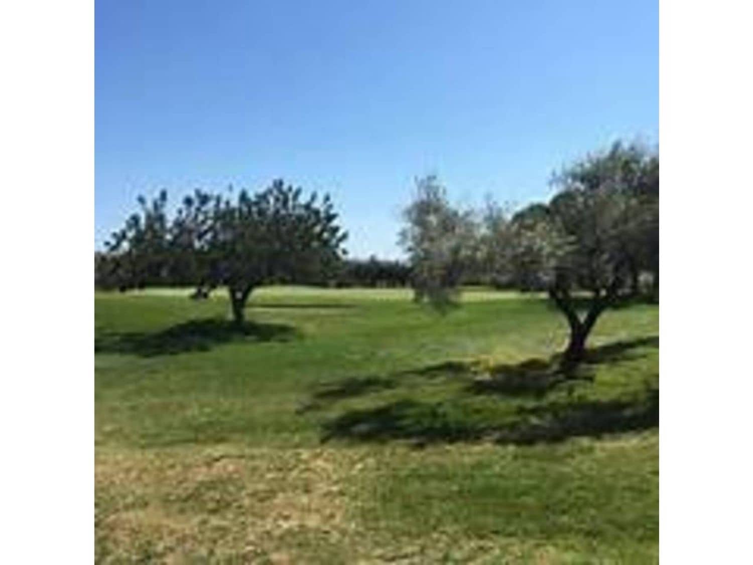 Grond te koop in Sant Jordi - € 75.000 (Ref: 8638178)