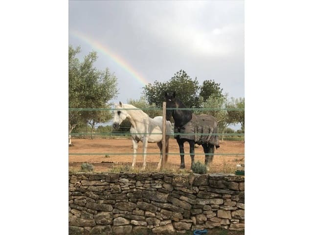 4 soverom Finca/Herregård til salgs i Castelló de la Plana med svømmebasseng garasje - € 445 000 (Ref: 8729135)