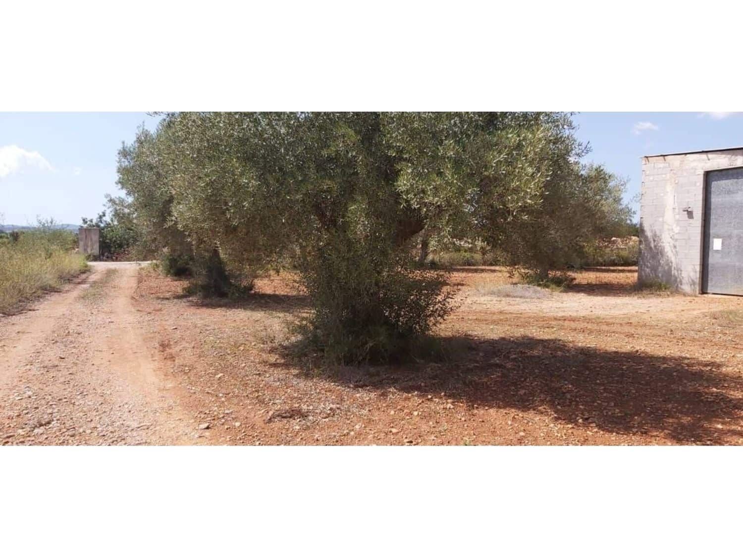 1 soveværelse Finca/Landehus til salg i Calig - € 289.000 (Ref: 9013773)