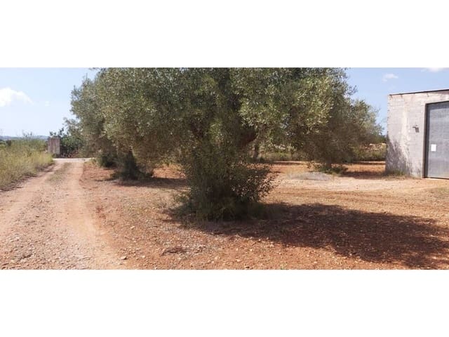 1 bedroom Finca/Country House for sale in Càlig - € 289,000 (Ref: 9013773)