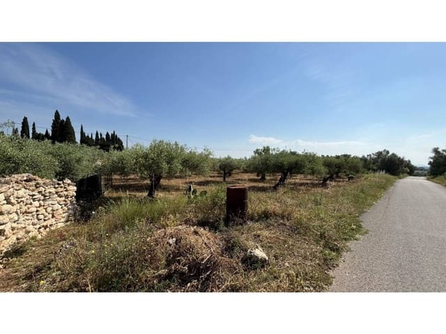 Undeveloped Land for sale in Canet lo Roig - € 25,000 (Ref: 9106260)