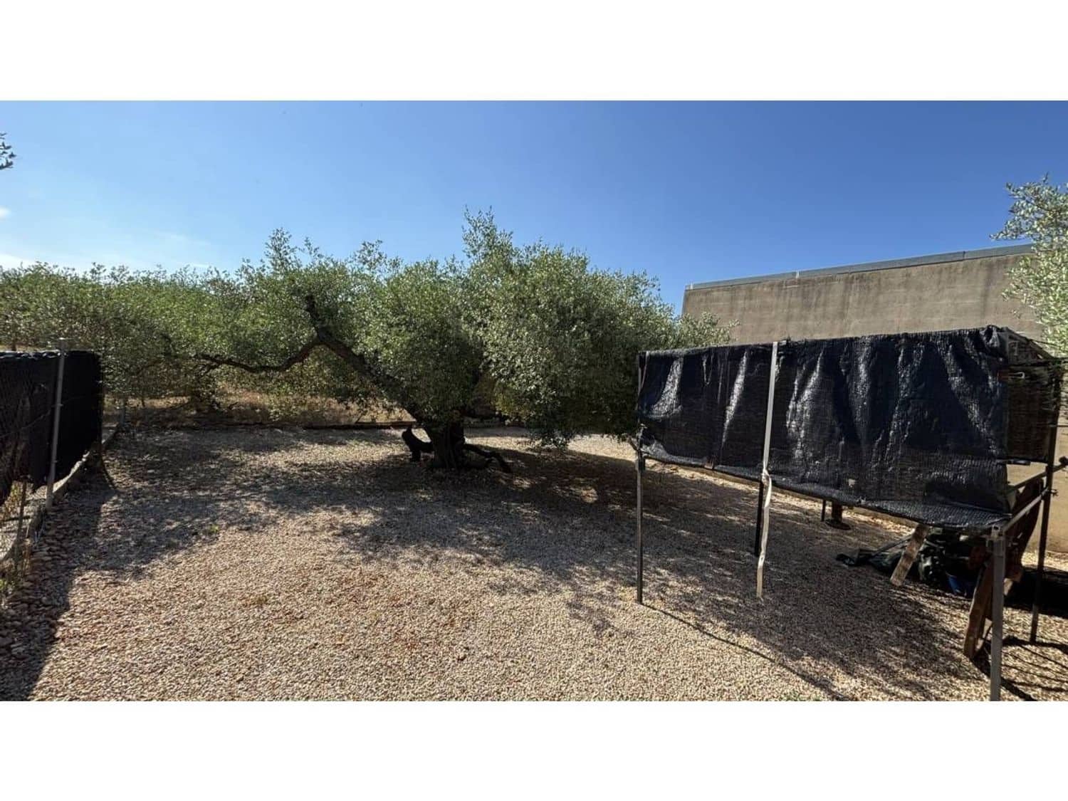 Undeveloped Land for sale in Canet lo Roig - € 25,000 (Ref: 9106260)