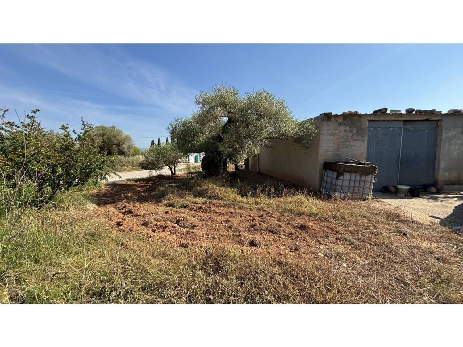 Undeveloped Land for sale in Canet lo Roig - € 25,000 (Ref: 9106260)