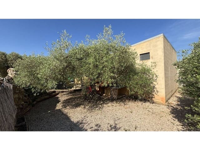 Undeveloped Land for sale in Canet lo Roig - € 25,000 (Ref: 9106260)