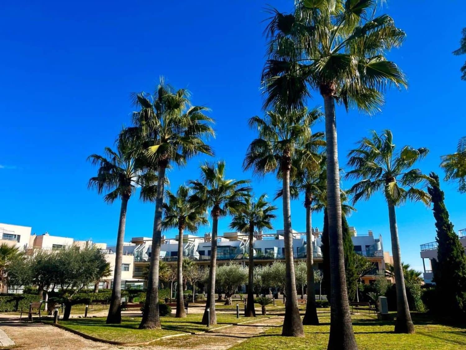 2 soveværelse Lejlighed til salg i Sant Jordi med swimmingpool garage - € 159.000 (Ref: 9568016)