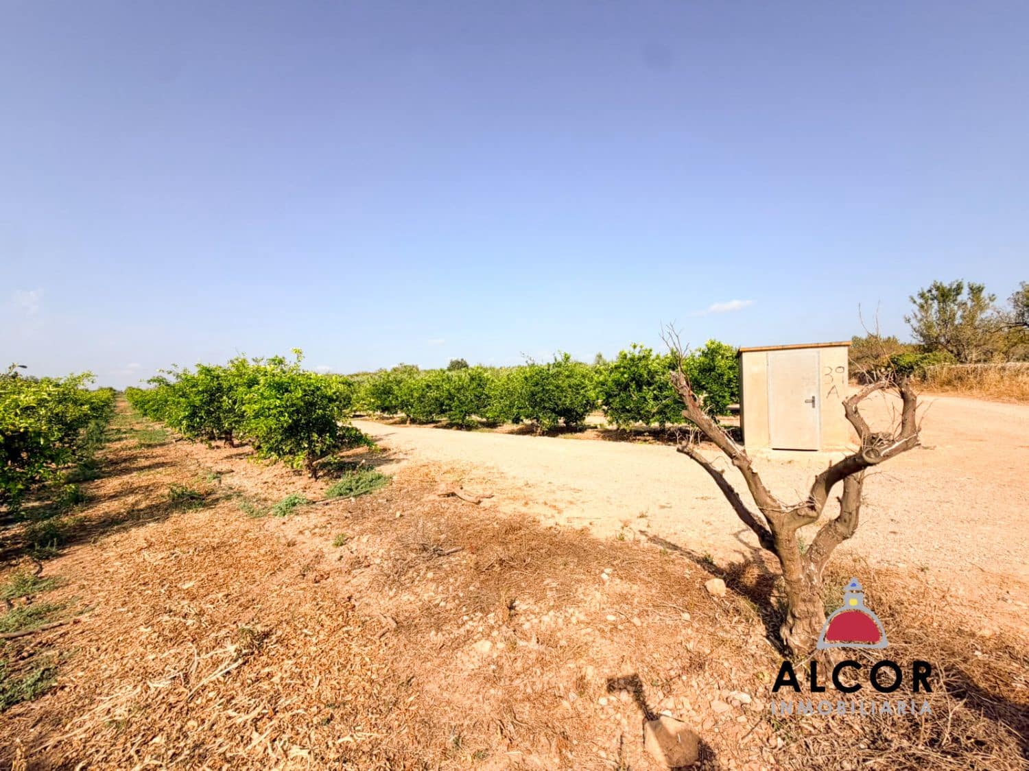 Undeveloped Land for sale in Cervera del Maestre / Cervera del Maestrat - € 25,000 (Ref: 10005203)