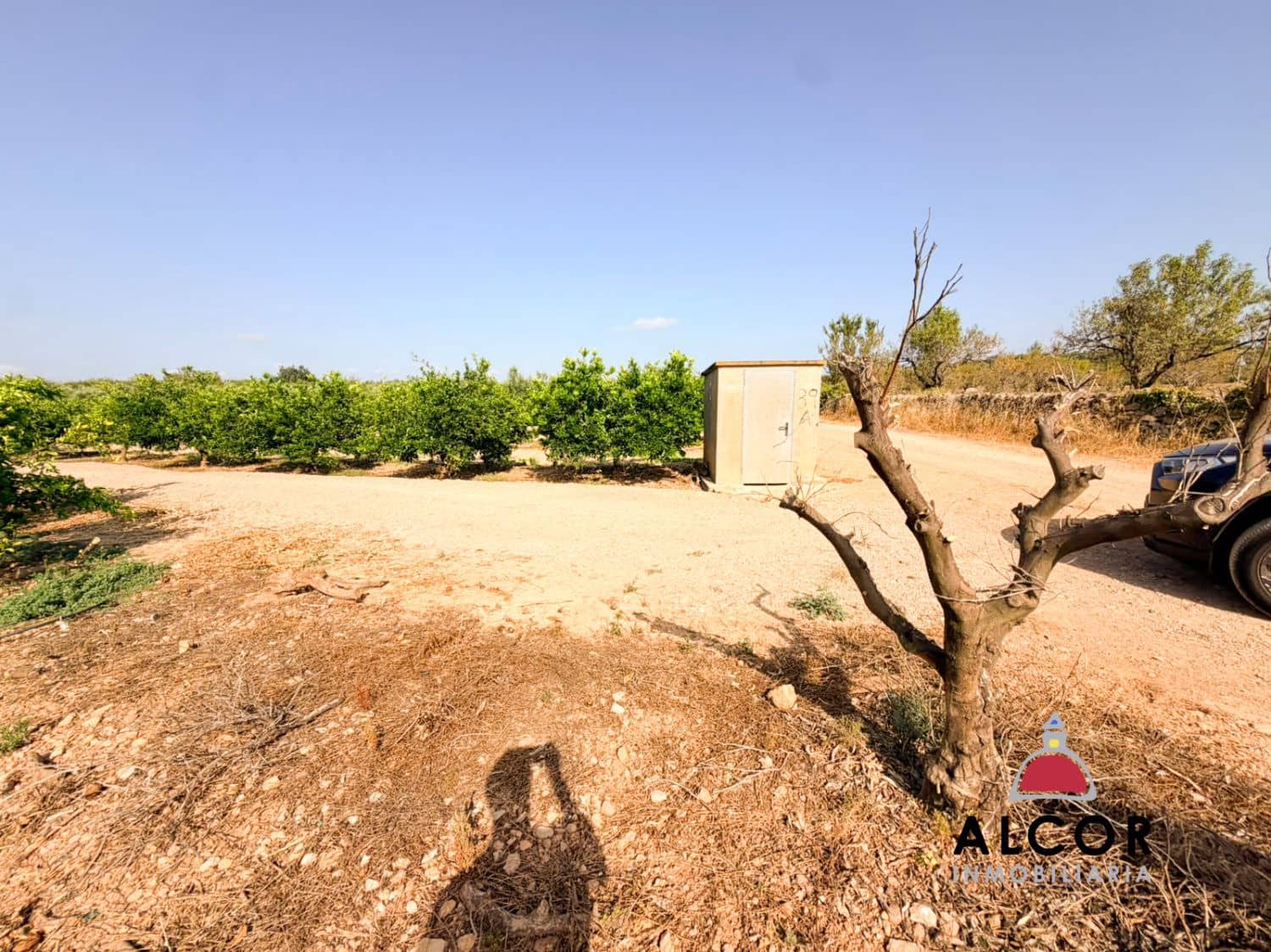 Undeveloped Land for sale in Cervera del Maestre / Cervera del Maestrat - € 25,000 (Ref: 10005203)