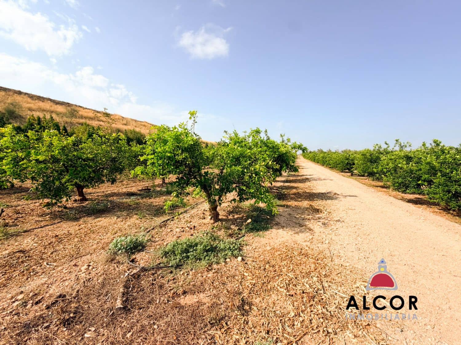 Undeveloped Land for sale in Cervera del Maestre / Cervera del Maestrat - € 25,000 (Ref: 10005203)