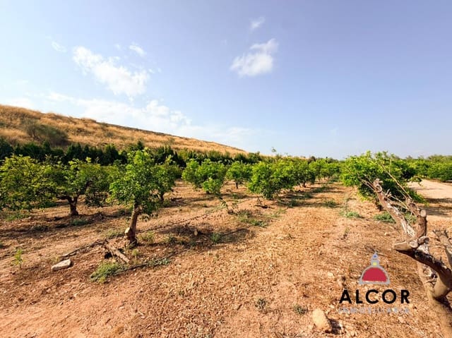 Undeveloped Land for sale in Cervera del Maestre / Cervera del Maestrat - € 25,000 (Ref: 10005203)
