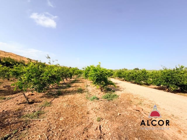 Undeveloped Land for sale in Cervera del Maestre / Cervera del Maestrat - € 25,000 (Ref: 10005203)