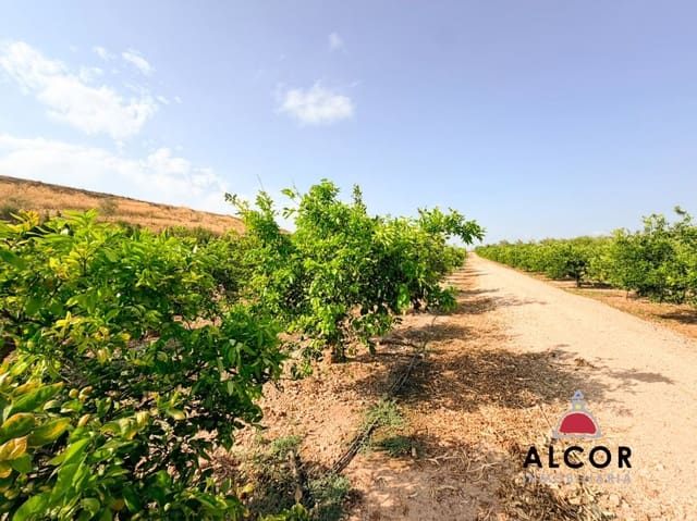 Undeveloped Land for sale in Cervera del Maestre / Cervera del Maestrat - € 25,000 (Ref: 10005203)