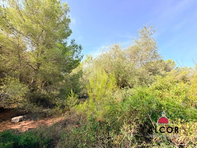 Terre non Aménagée à vendre à Sant Jordi - 80 000 € (Ref: 10037088)