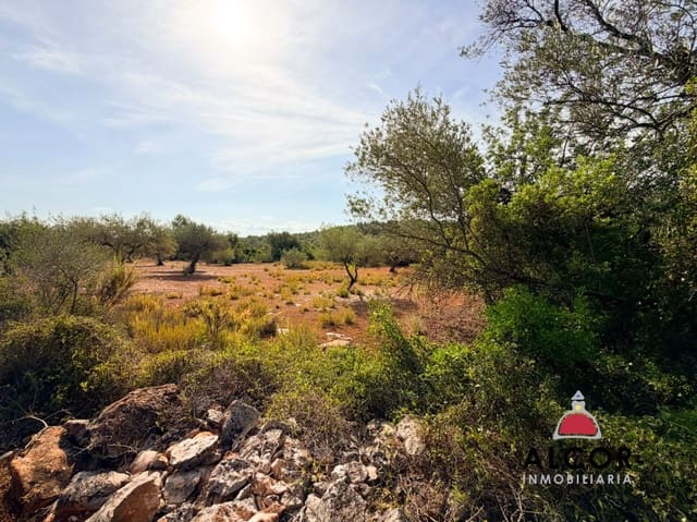 Terre non Aménagée à vendre à Sant Jordi - 80 000 € (Ref: 10037088)
