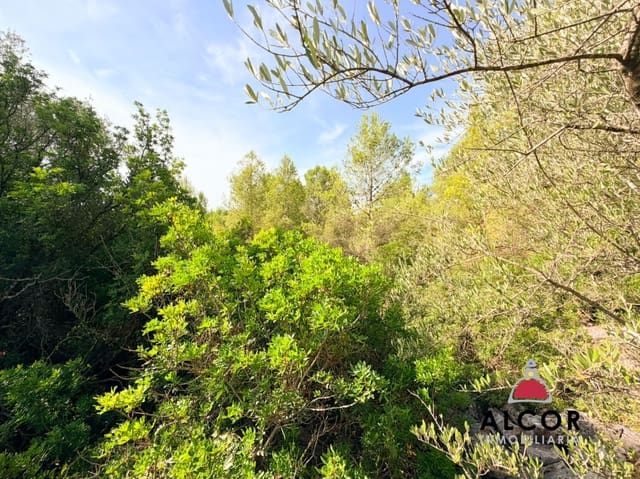 Terre non Aménagée à vendre à Sant Jordi - 80 000 € (Ref: 10037088)