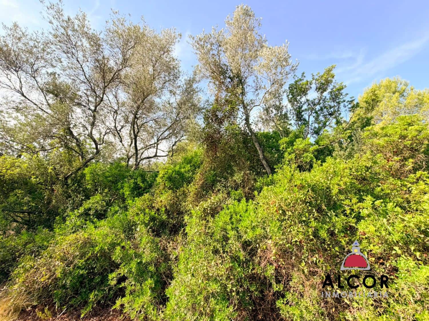 Terre non Aménagée à vendre à Sant Jordi - 80 000 € (Ref: 10037088)
