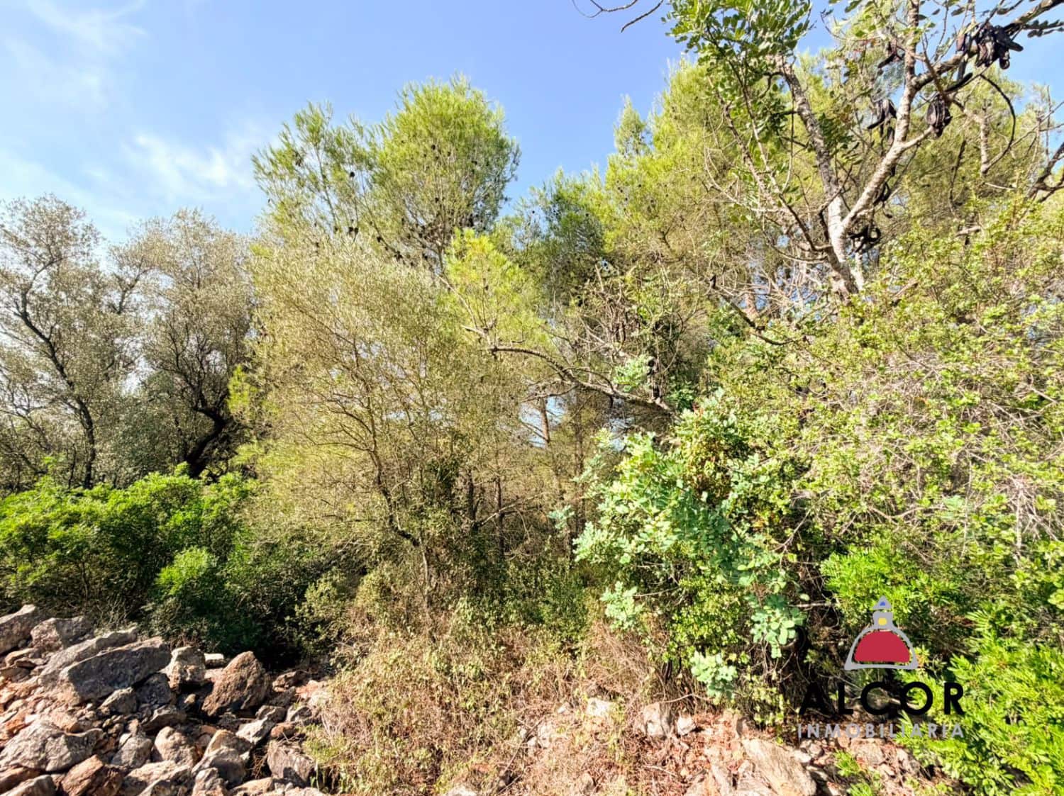 Terre non Aménagée à vendre à Sant Jordi - 80 000 € (Ref: 10037088)