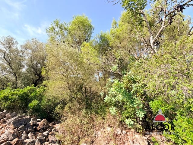 Terre non Aménagée à vendre à Sant Jordi - 80 000 € (Ref: 10037088)