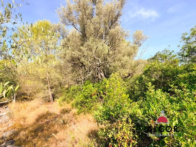 Terre non Aménagée à vendre à Sant Jordi - 80 000 € (Ref: 10037088)