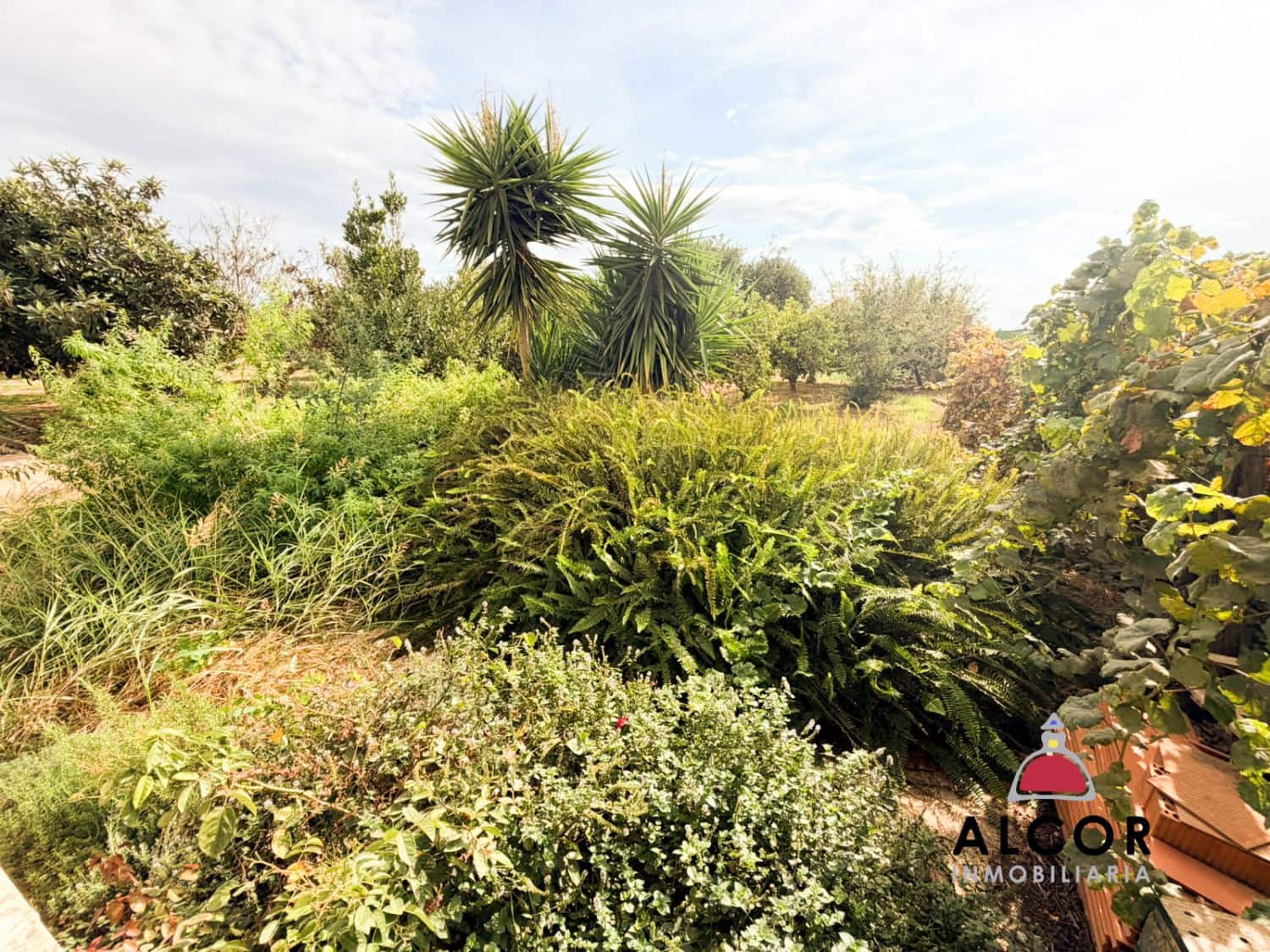 3 bedroom Finca/Country House for sale in Peniscola with garage - € 600,000 (Ref: 10132650)