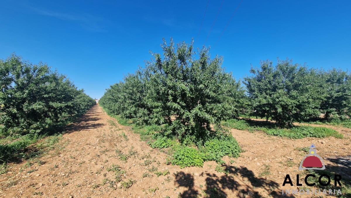 4 chambre Maison de Ville à vendre à Benicarlo - 320 000 € (Ref: 6702929)