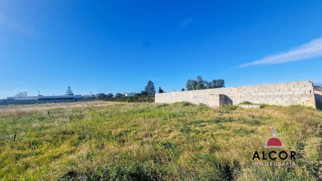 Undeveloped Land for sale in Vinaròs - € 29,000 (Ref: 8797302)