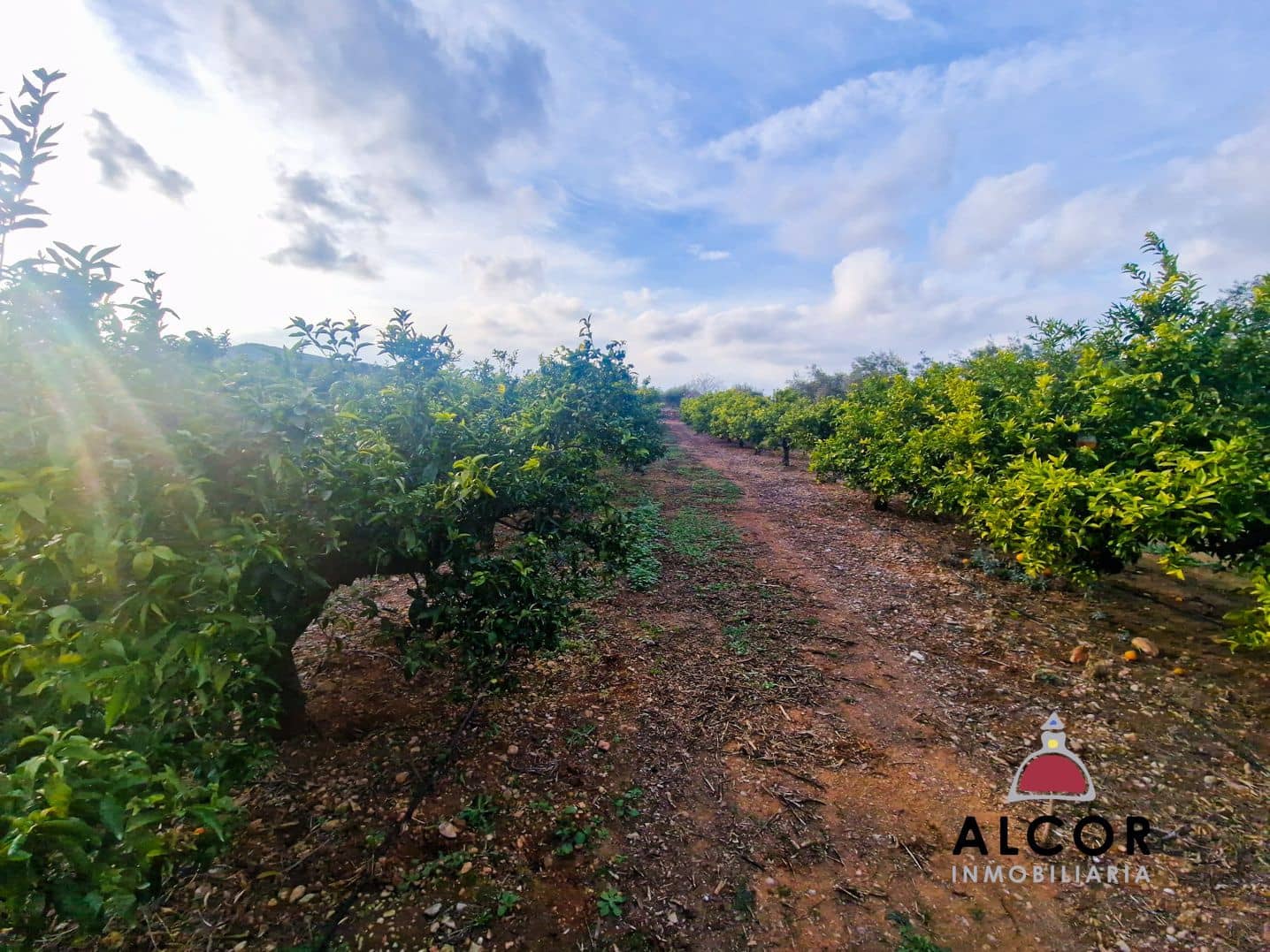 Finca/Landhuis te koop in Calig - € 25.000 (Ref: 8834143)