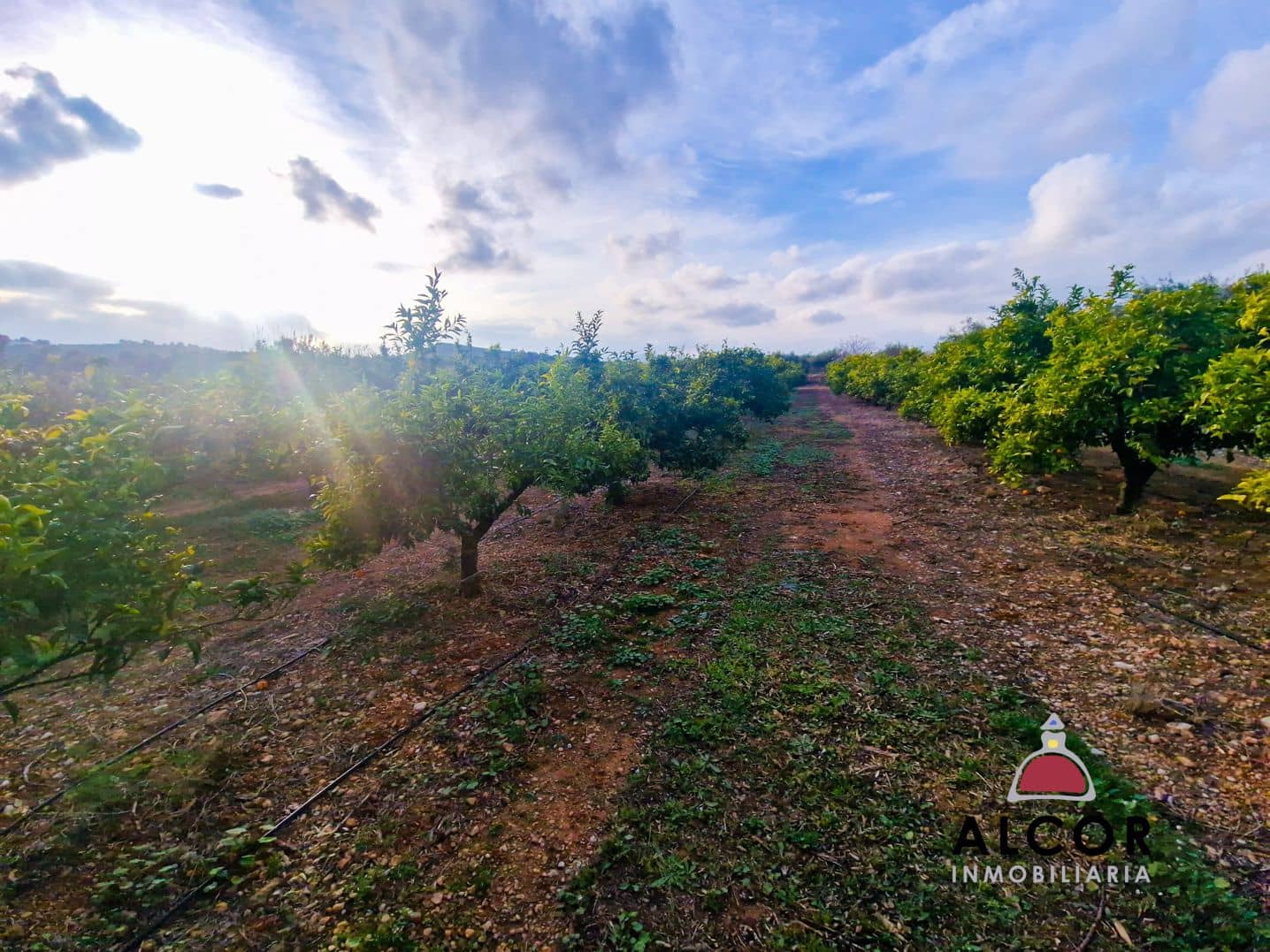 Finca/Landhuis te koop in Calig - € 25.000 (Ref: 8834143)