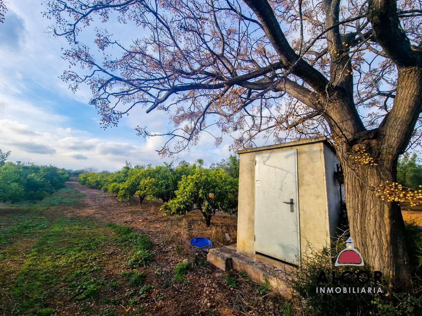 Finca/Landhuis te koop in Calig - € 25.000 (Ref: 8834143)