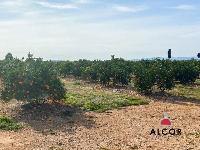 Finca/Country House for sale in Traiguera - € 290,000 (Ref: 9091933)