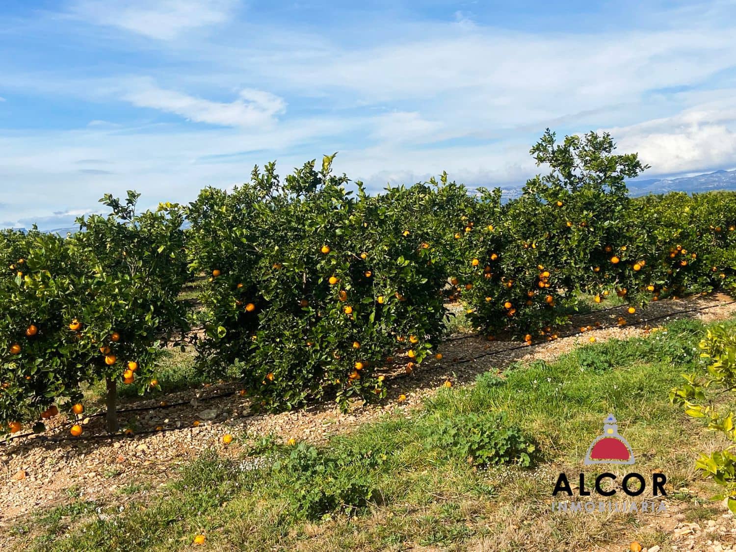 Finca/Herregård til salgs i Traiguera - € 290 000 (Ref: 9091933)