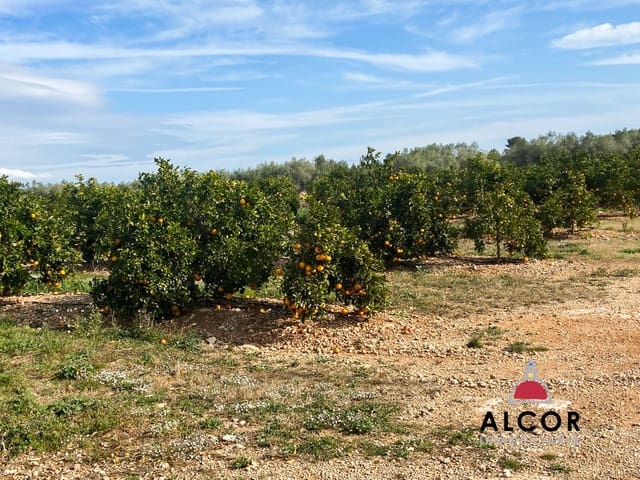 Finca/Country House for sale in Traiguera - € 290,000 (Ref: 9091933)