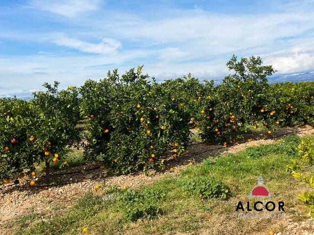 Finca/Country House for sale in Traiguera - € 290,000 (Ref: 9091933)