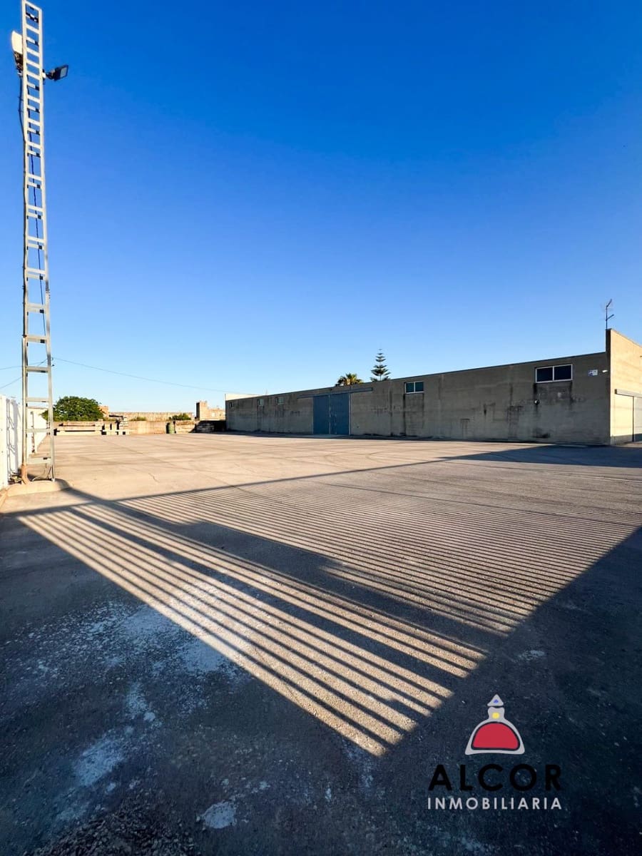 4 slaapkamer Bedrijf te koop in Benicarlo - € 513.000 (Ref: 9114452)