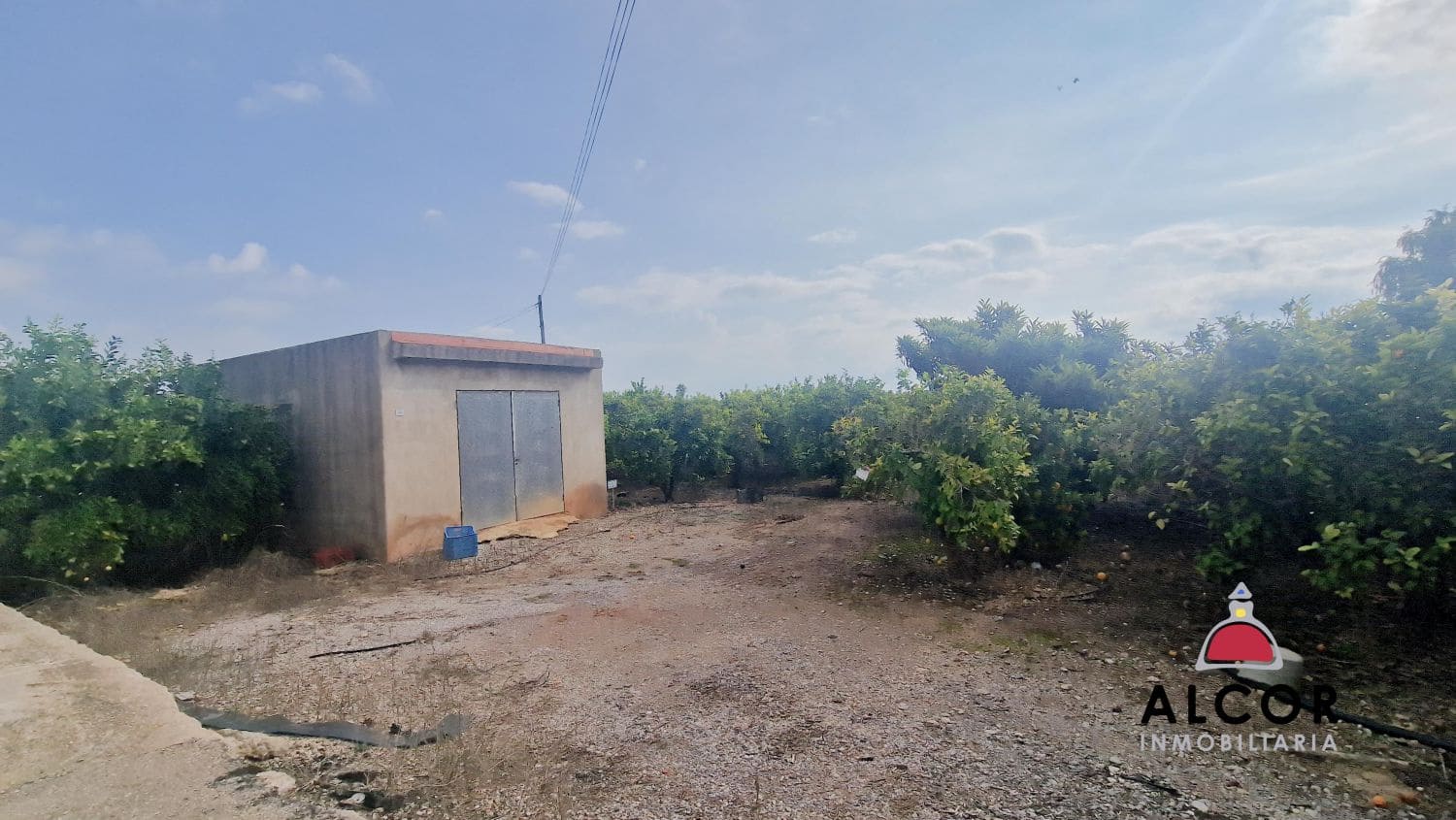 Finca/Country House for sale in Benicarlo - € 67,000 (Ref: 9318062)