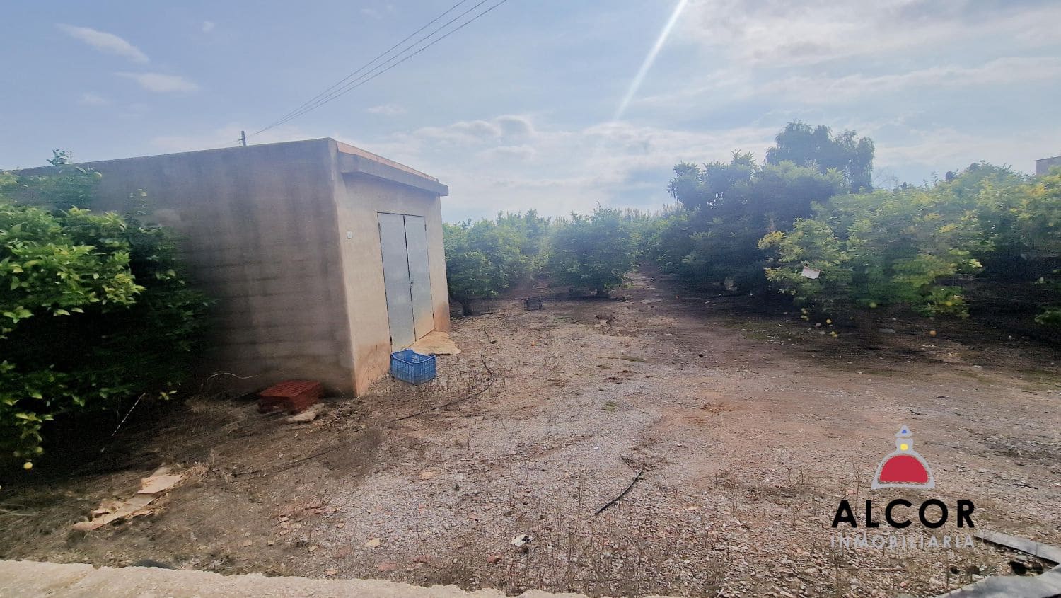 Finca/Country House for sale in Benicarlo - € 67,000 (Ref: 9318062)