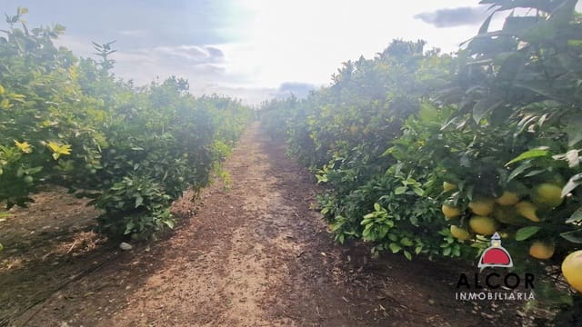 Finca/Country House for sale in Benicarló - € 67,000 (Ref: 9318062)