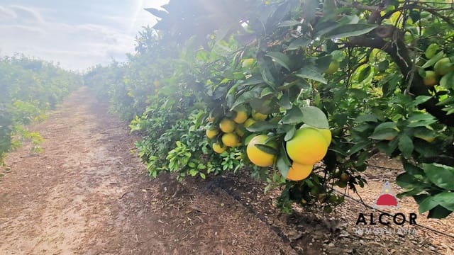 Finca/Country House for sale in Benicarló - € 67,000 (Ref: 9318062)