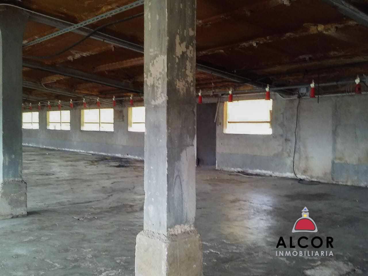 Azienda in vendita in Traiguera - 54.000 € (Rif: 9356328)