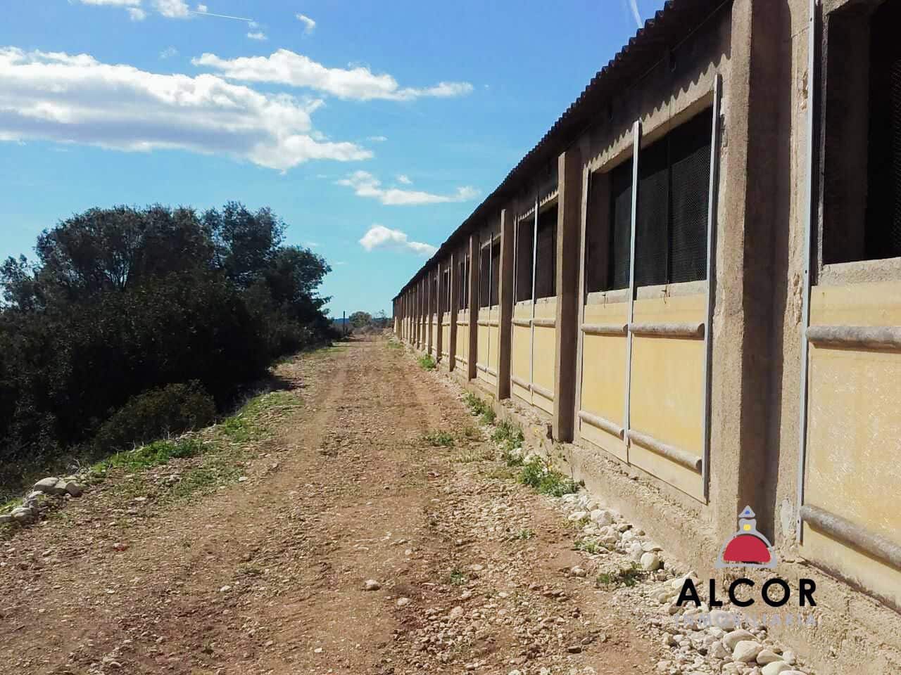 Azienda in vendita in Traiguera - 54.000 € (Rif: 9356328)