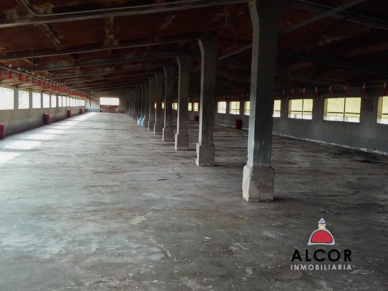 Azienda in vendita in Traiguera - 54.000 € (Rif: 9356328)