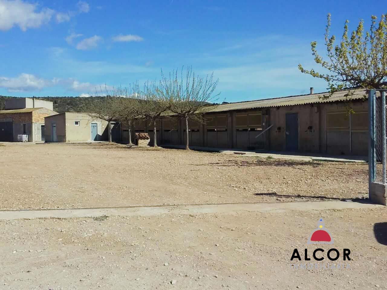 Azienda in vendita in Traiguera - 54.000 € (Rif: 9356328)