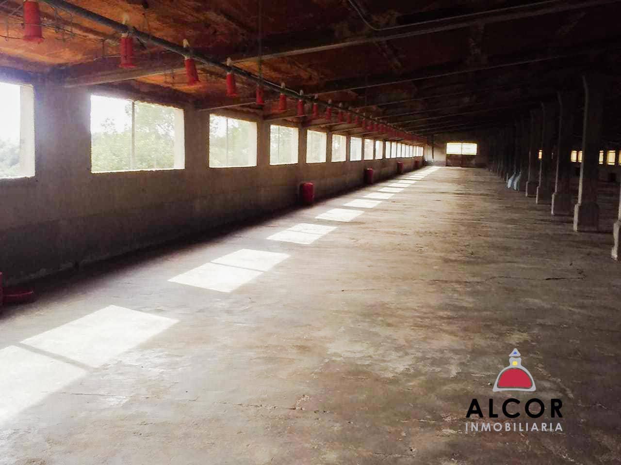 Azienda in vendita in Traiguera - 54.000 € (Rif: 9356328)