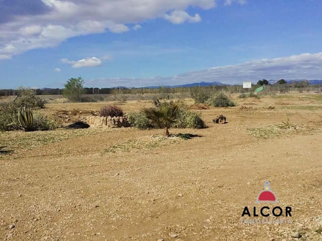 Business for sale in Traiguera - € 54,000 (Ref: 9356328)