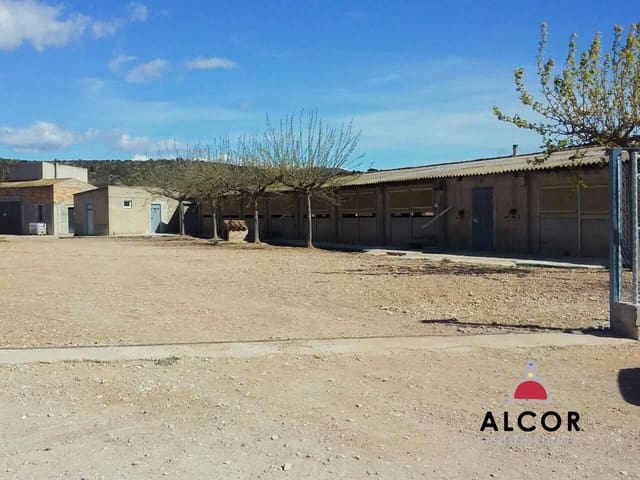 Business for sale in Traiguera - € 54,000 (Ref: 9356328)