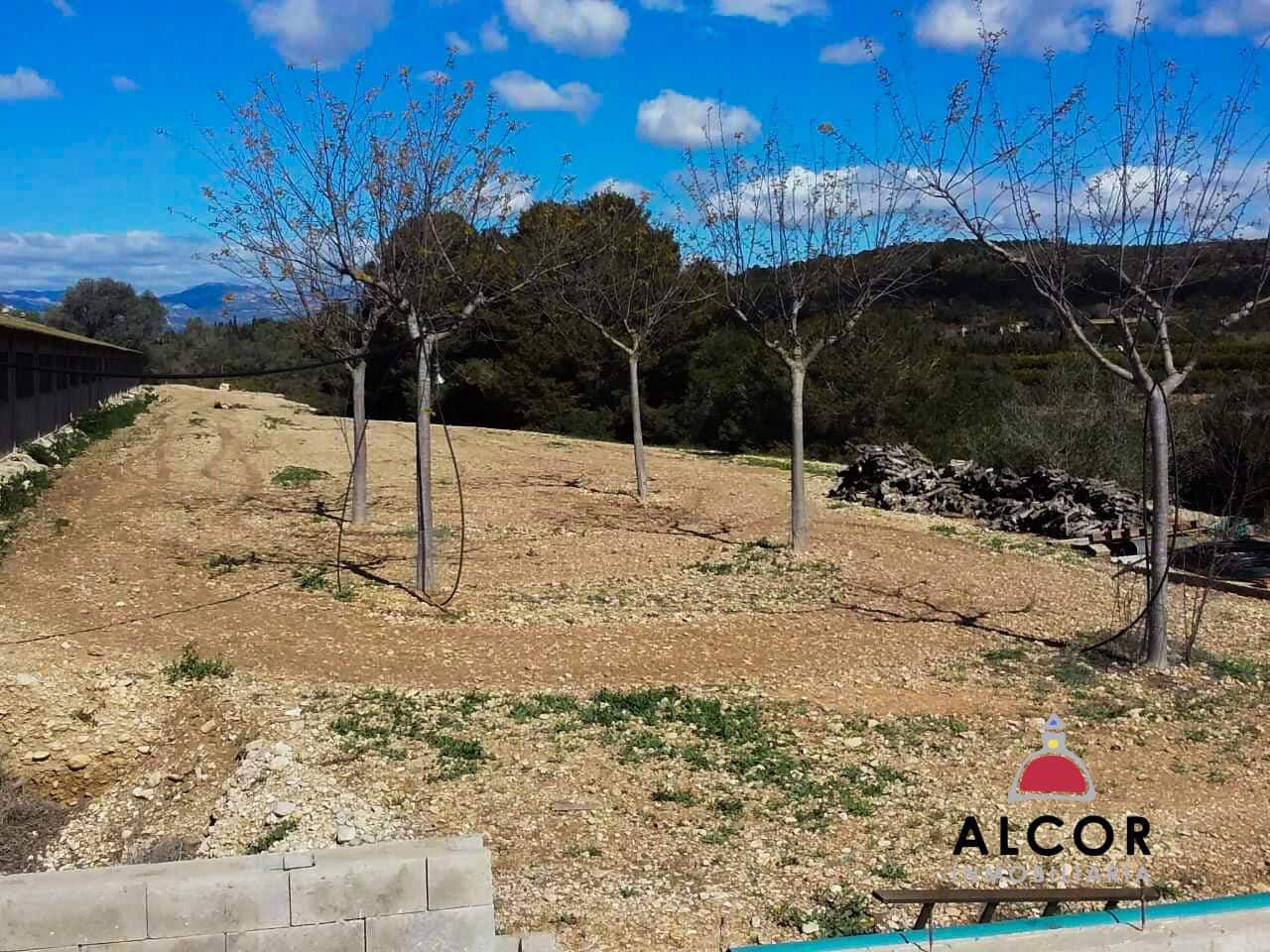 Azienda in vendita in Traiguera - 54.000 € (Rif: 9356328)