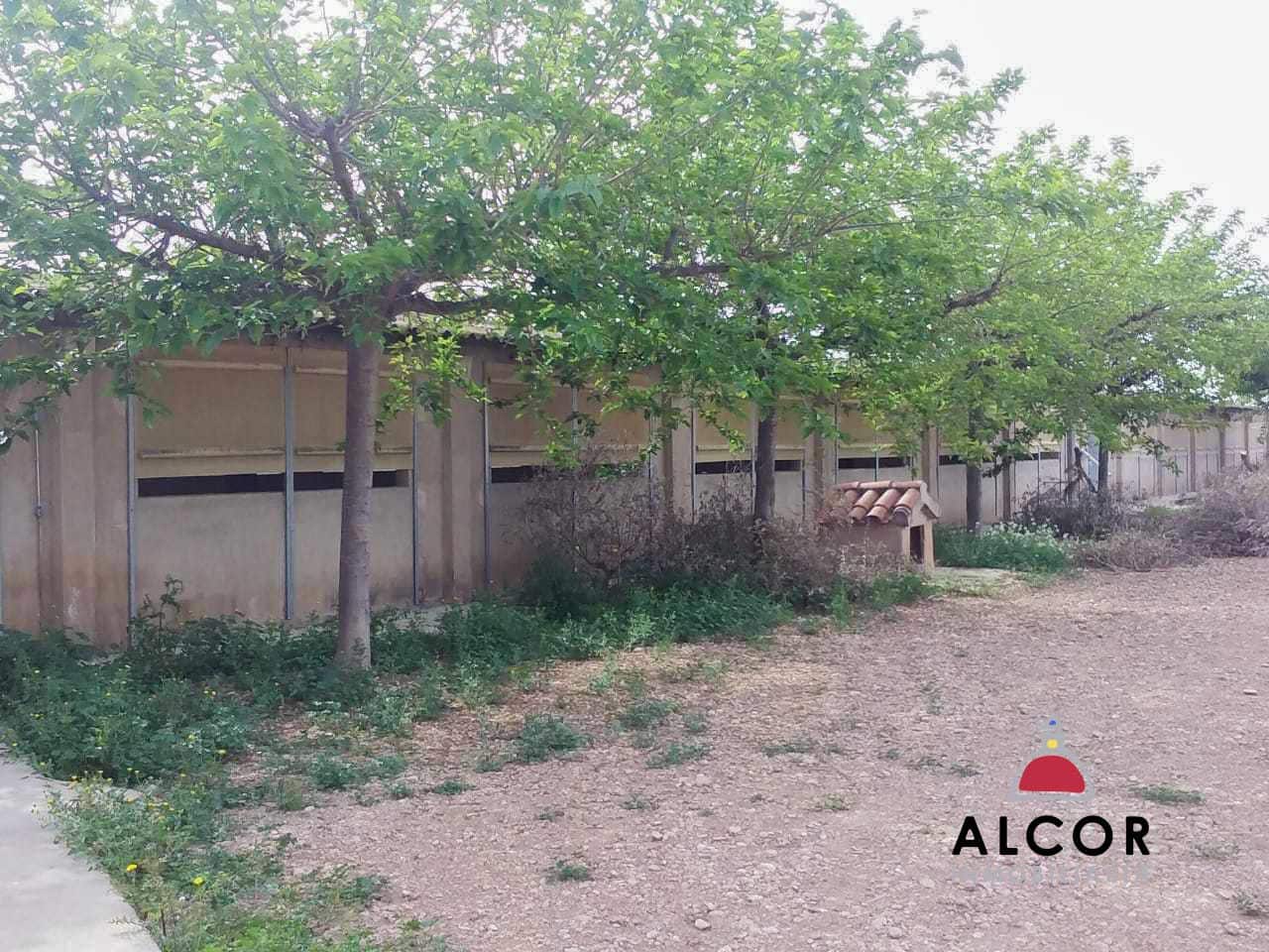 Azienda in vendita in Traiguera - 54.000 € (Rif: 9356328)