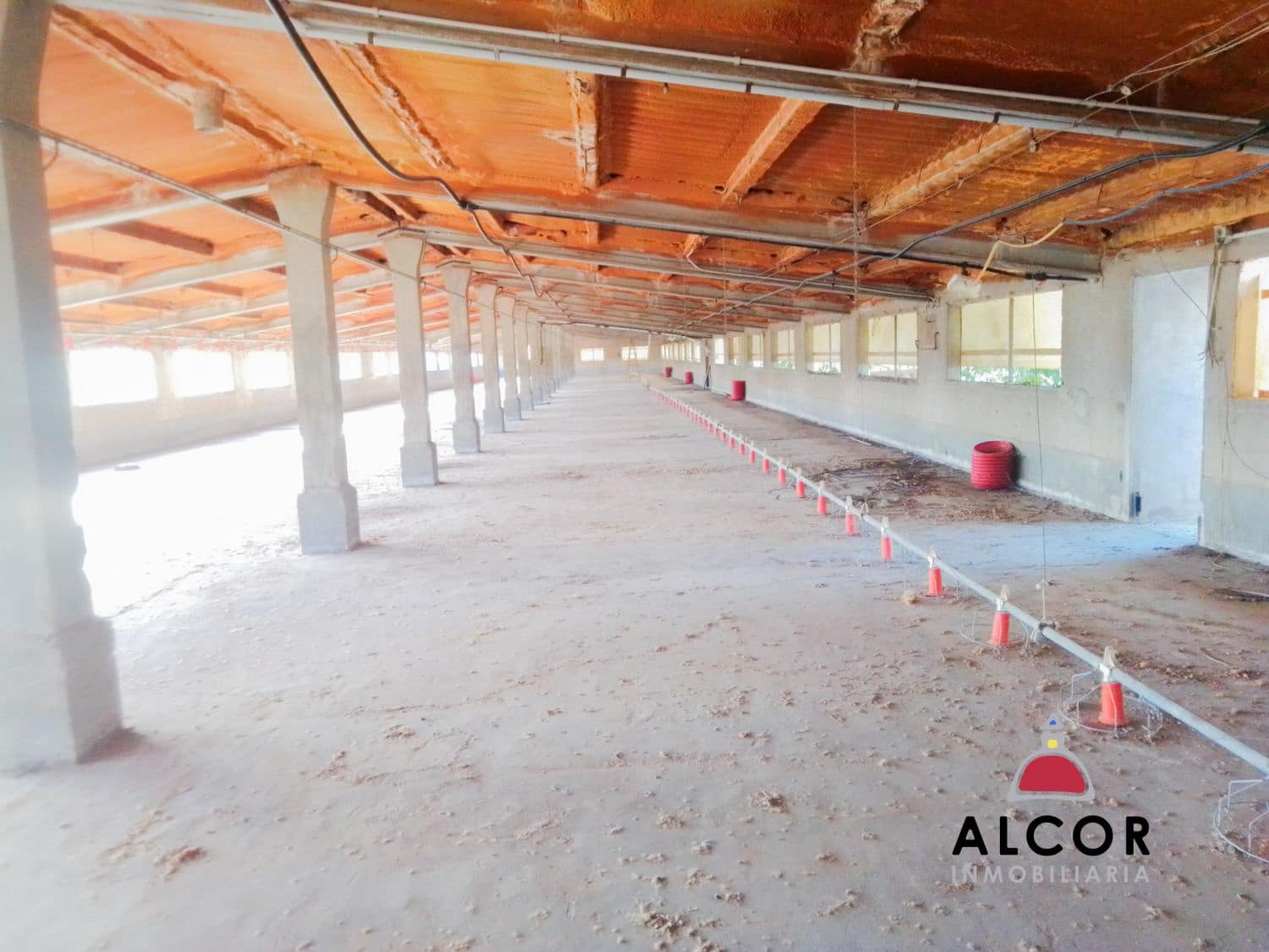 Azienda in vendita in Traiguera - 54.000 € (Rif: 9356328)