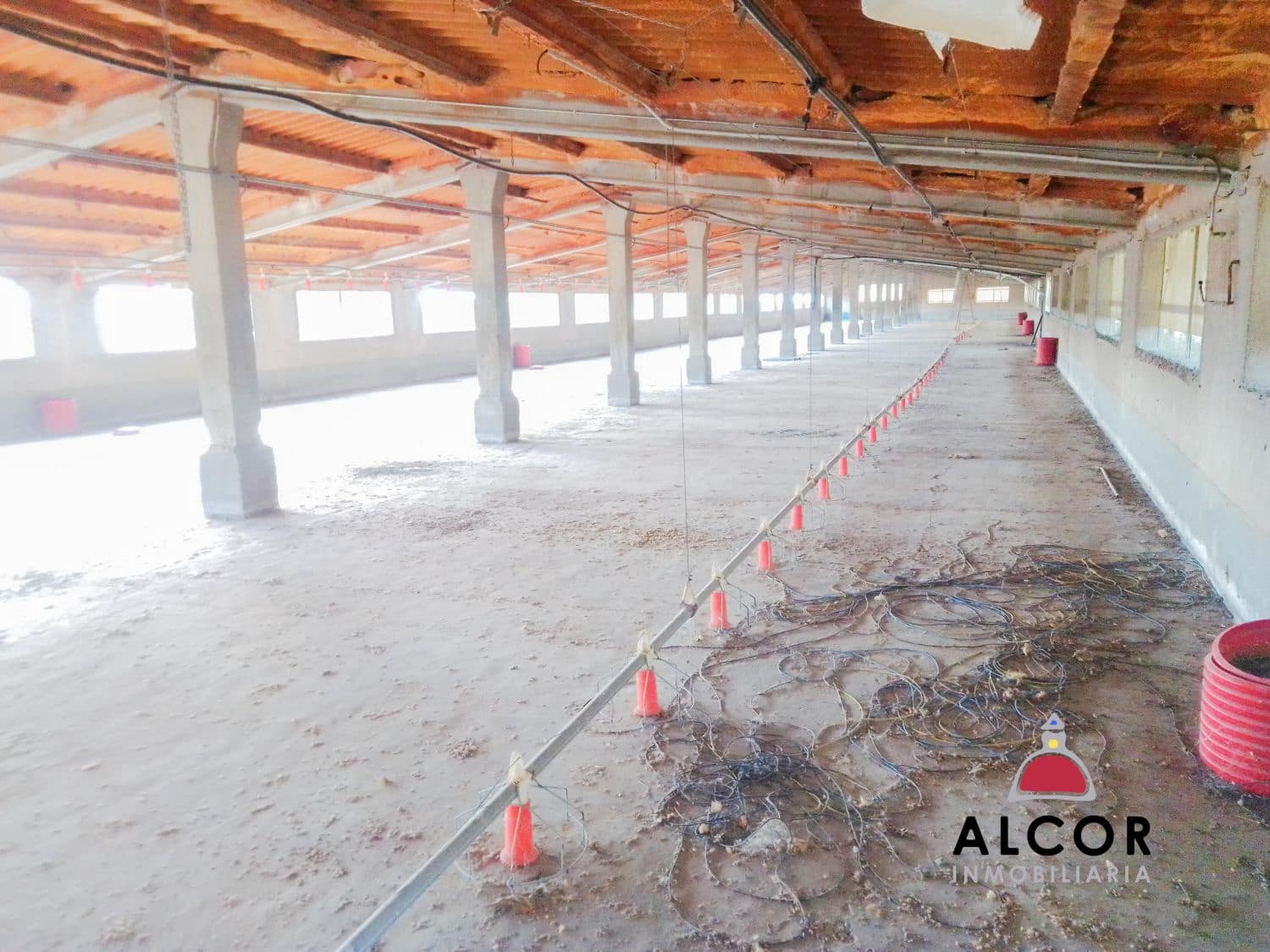 Azienda in vendita in Traiguera - 54.000 € (Rif: 9356328)